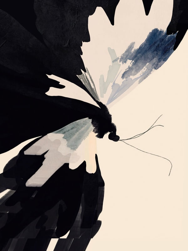 ABSTRACT BUTTERFLY I