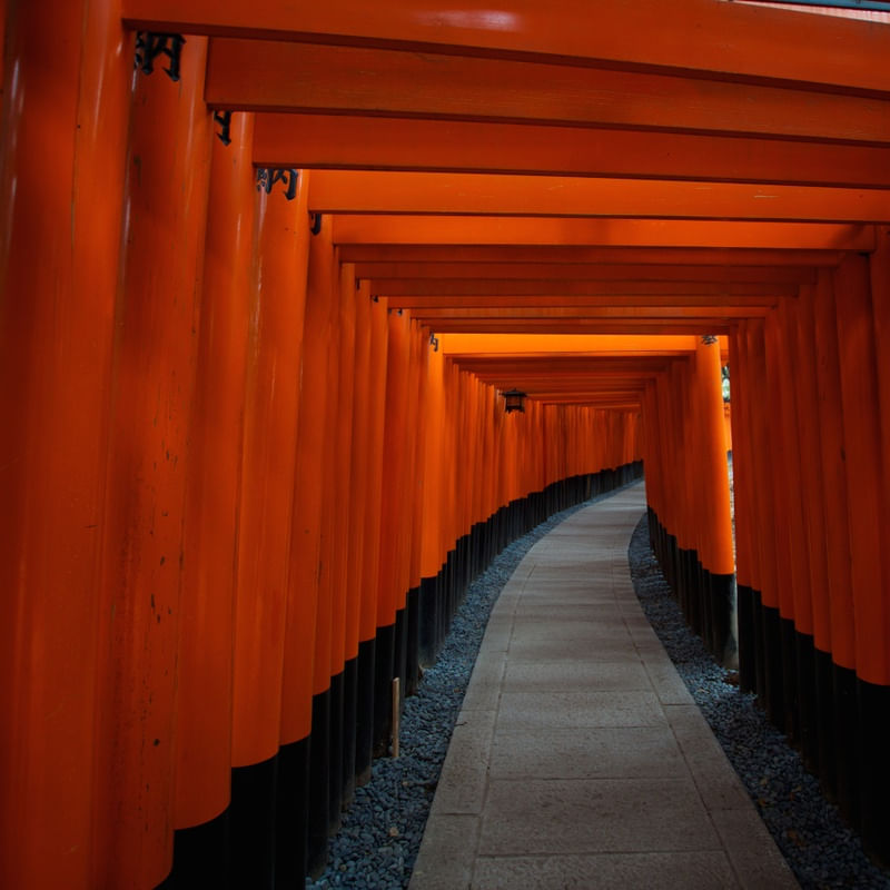 RED PATH