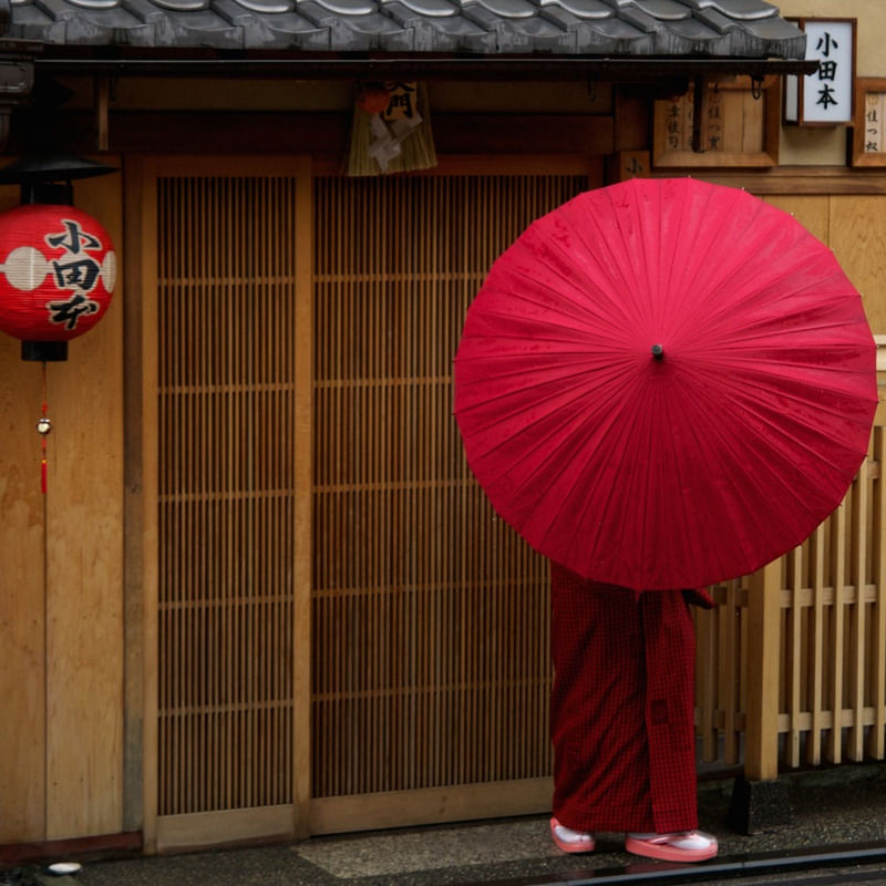 MY GEISHA