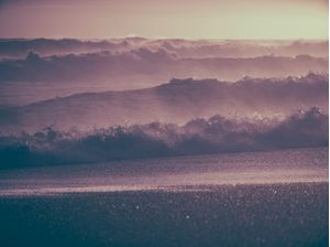 PINK WAVES