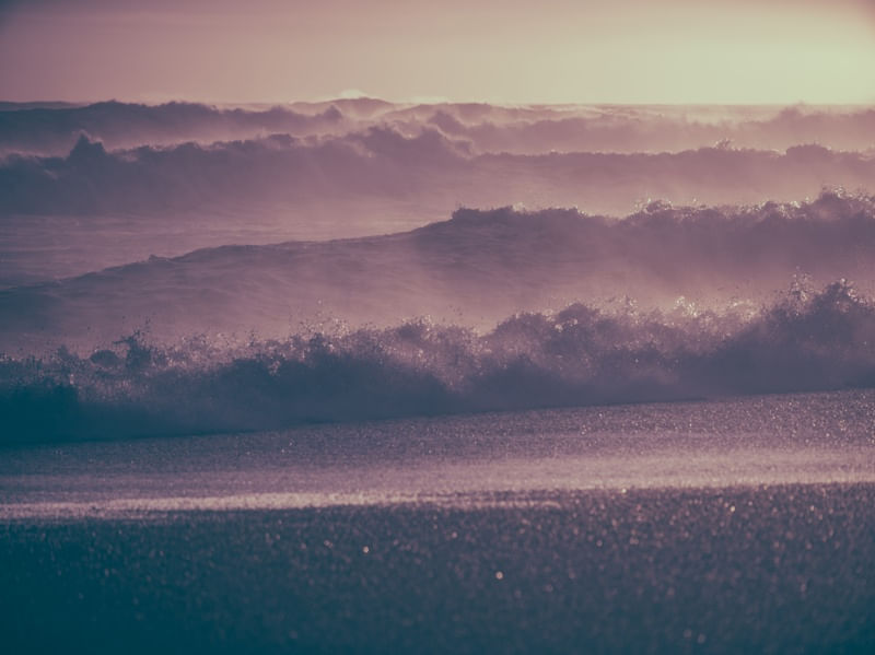 PINK WAVES