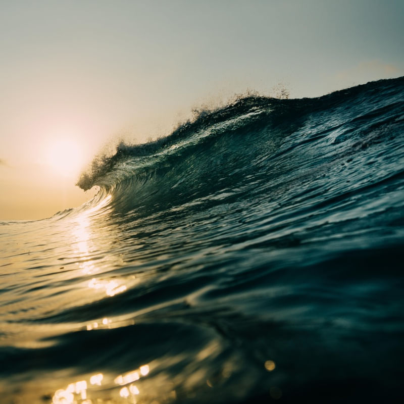 RIO BARRA WAVE