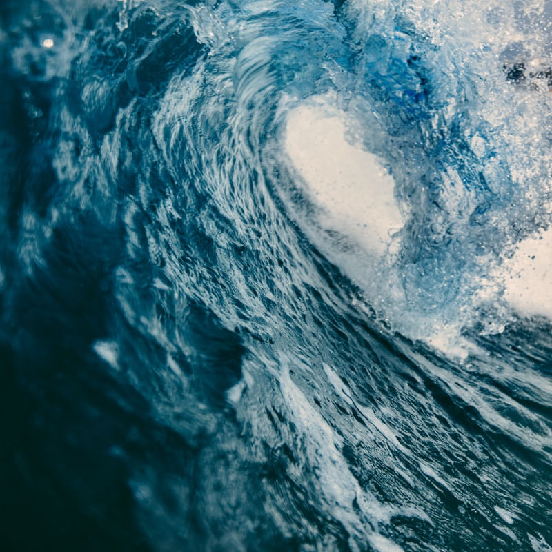 BLUE CRUSH II