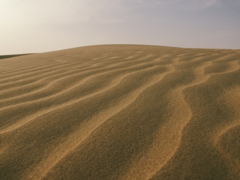 DUNAS 2
