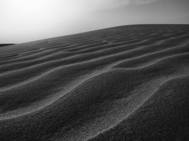 DARK DUNE