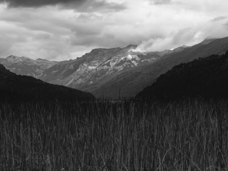LANDSCAPE OUTSIDE