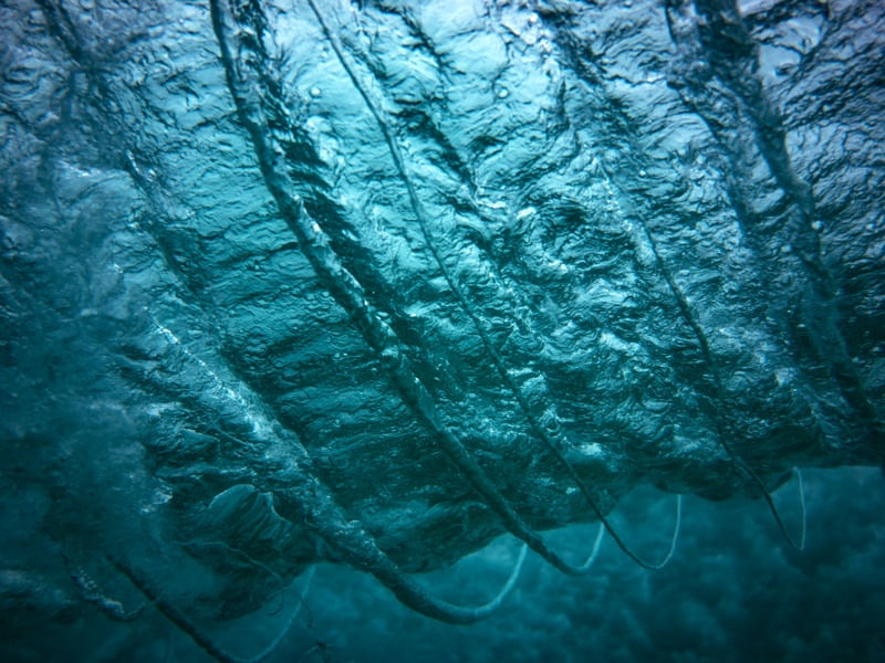 BLUE POWER