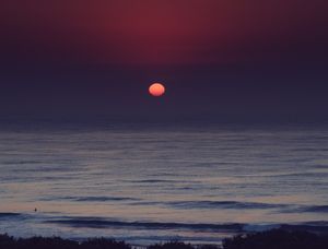 LONELY SURF