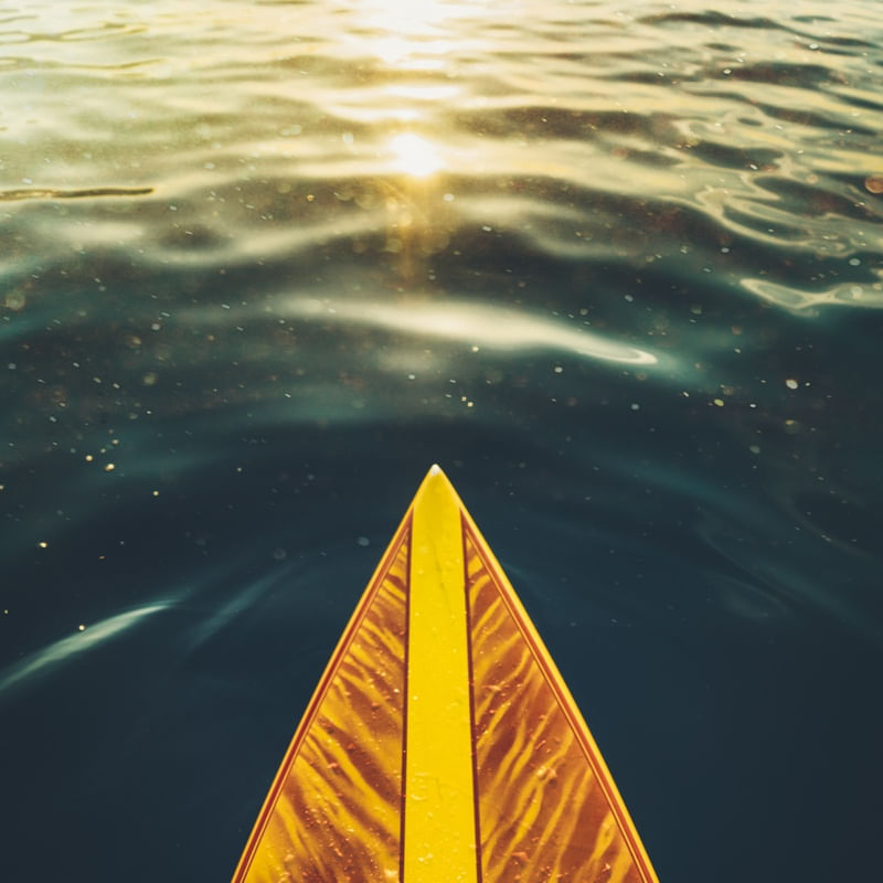 WE SURF