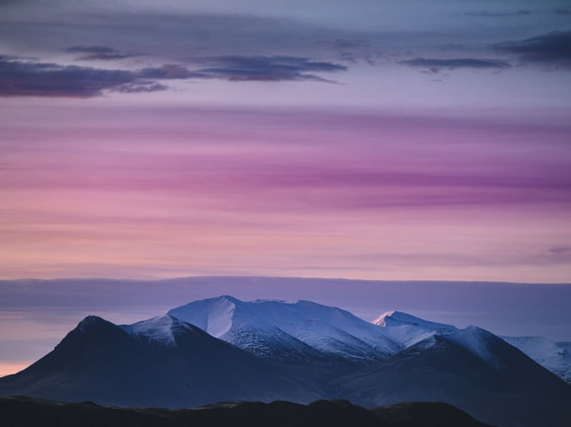 PINK SCAPE