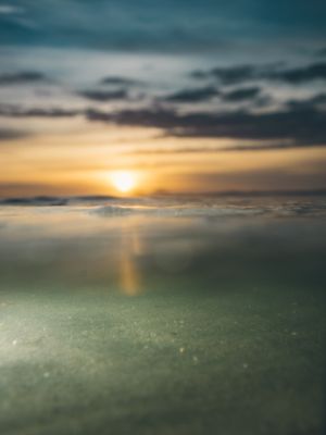 VERÃO VERANO