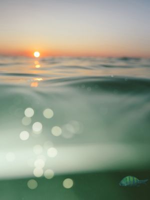 SUNRISE SUNRISE