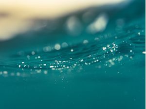 MAKING SEA