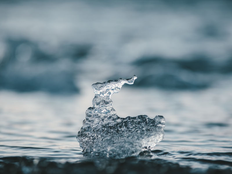 ICED DREAMS