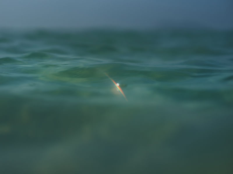 BORN TO SWIM