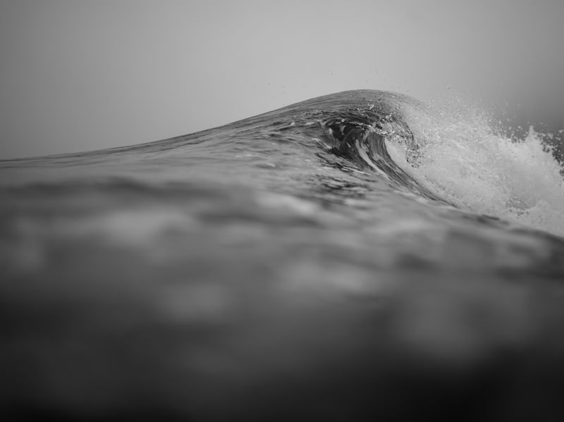 GRACE WAVE