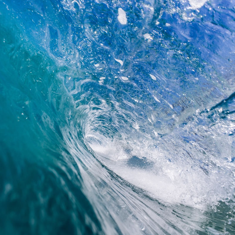 WAVE ME UP