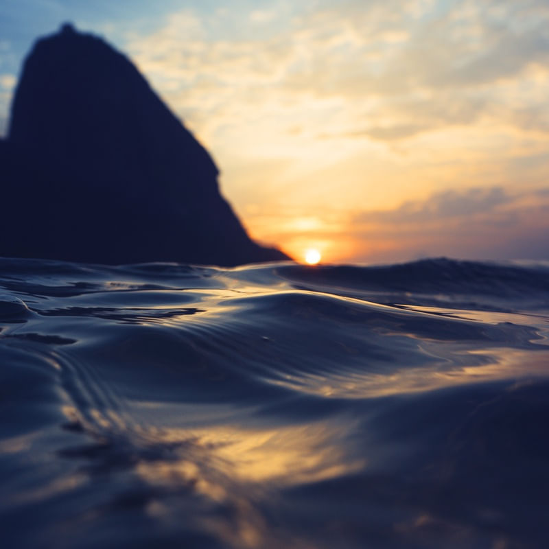 URCA FOREVER