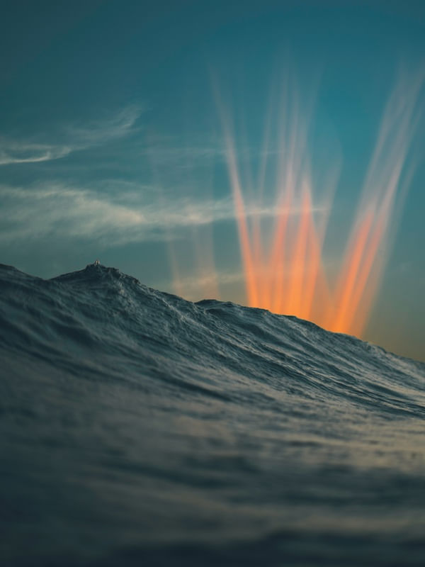 YOU FLARE