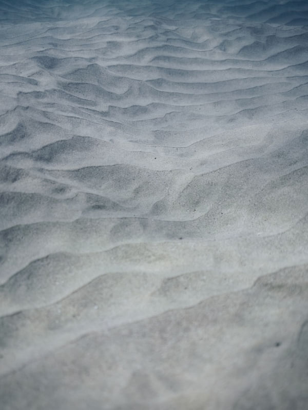 OCEANUS
