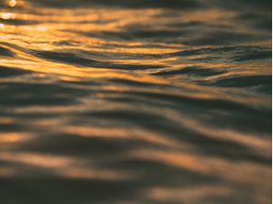 TEXTURA AO SUNSET