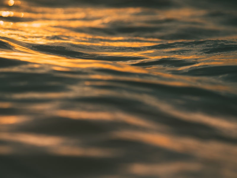 TEXTURA AO SUNSET