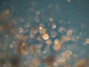 BOKEH SPLASH