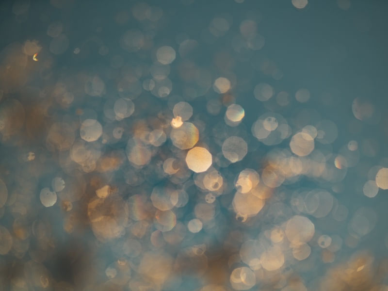 BOKEH SPLASH