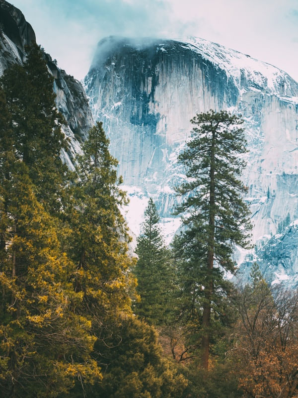 HALF CALIFORNIA
