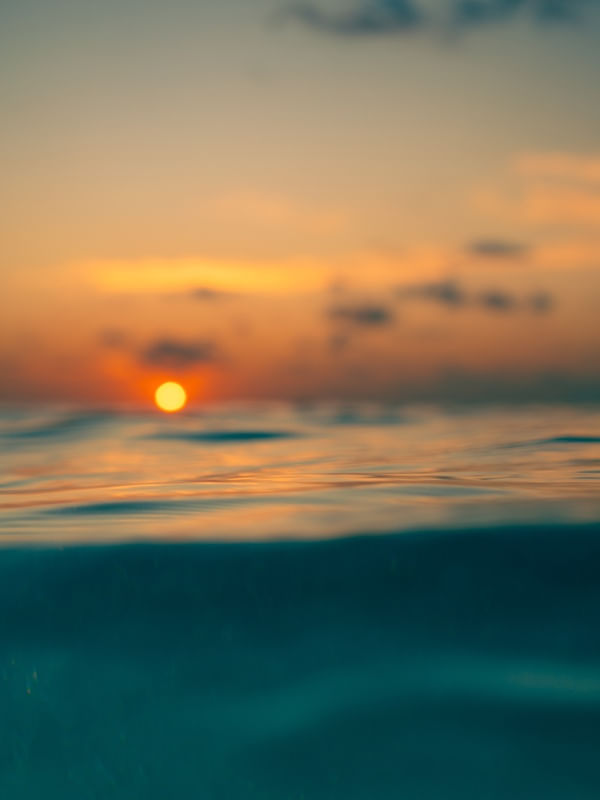 OBRA SOLAR