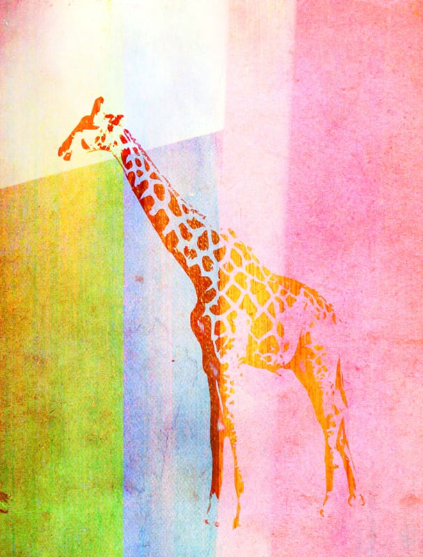 GIRAFA POP