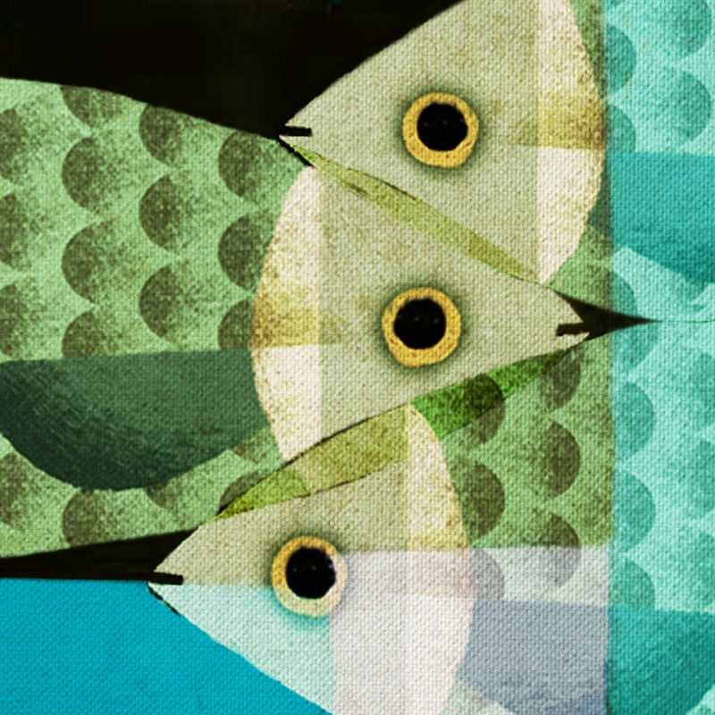 PEIXES ENCAIXOTADOS