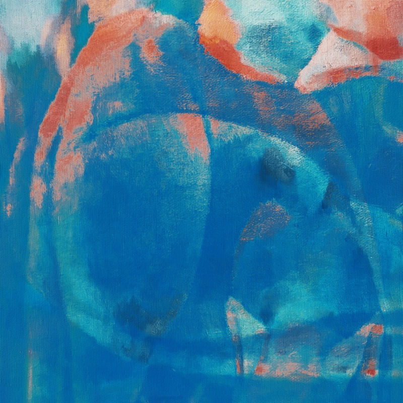 PISCES 01