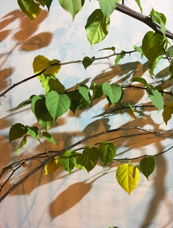 AS FOLHAS E OS ESPINHOS I