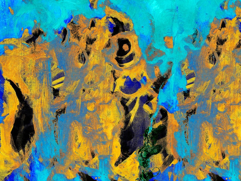 ANIMAIS SILVESTRES VIII
