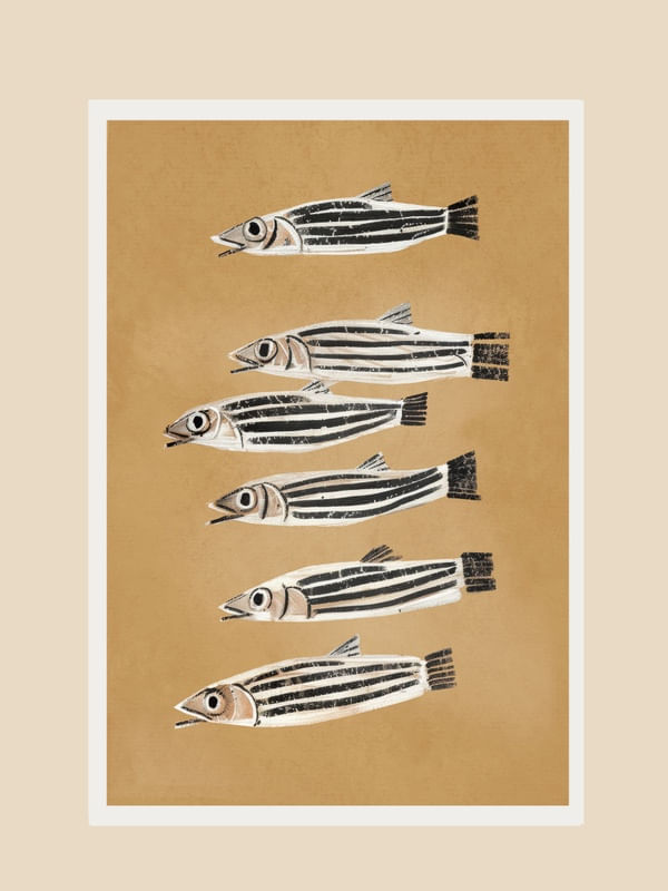 MINIMAL FISH STUDY