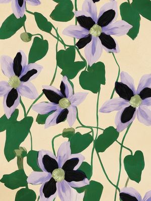 CLEMATIS BOTANICAL ILLUSTRATION