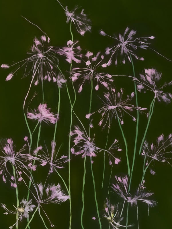 FLORES ABSTRATAS 17J