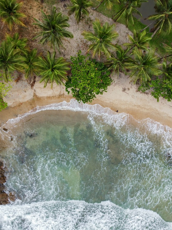 PARAÍSO ESCONDIDO OCEANO VERDE