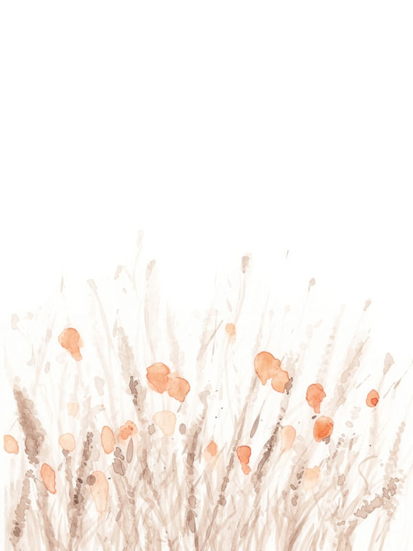 BOTANICAL WATERCOLOR V 2/2