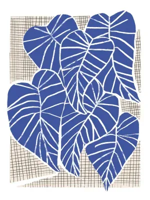 KIT 2 QUADROS DECORATIVOS - MONSTERA ALOCASIAS