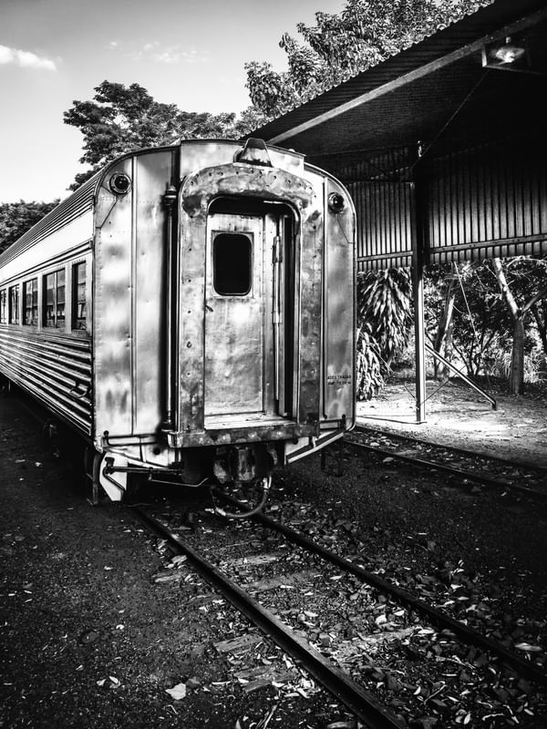 TREM PRATEADO