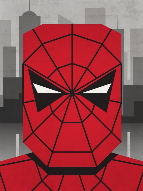 MR. SPIDER