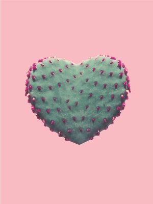 CORAÇÃO DE CACTUS