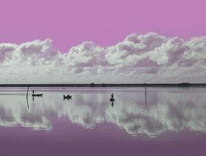 PESCADORES SOB O CÉU ROSA