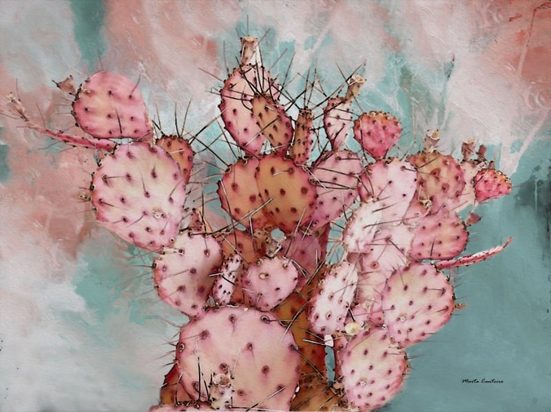 BOUQUET ROSA