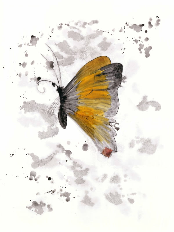 VOO MA