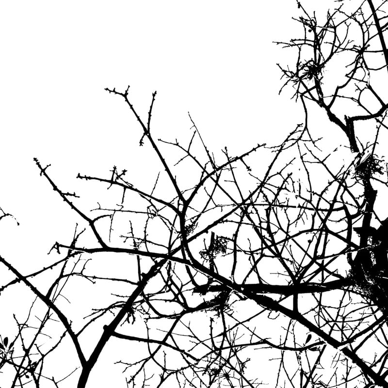 SKETCH OF NATURE 10