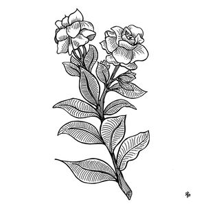 GARDÊNIA INK