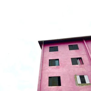METADE ROSA